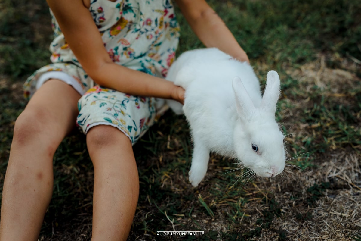 photo famille toulouse domicile