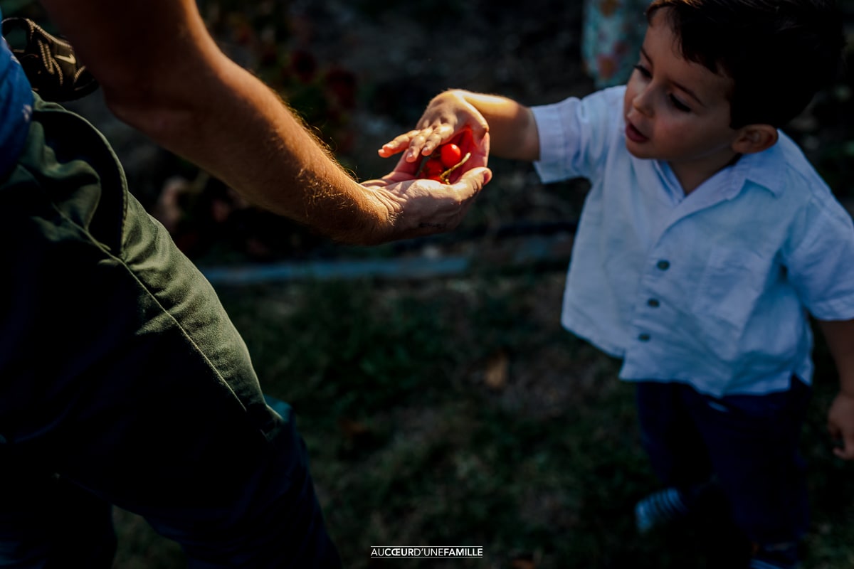 photo famille toulouse domicile